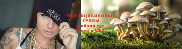 скорость mdpv Алзамай