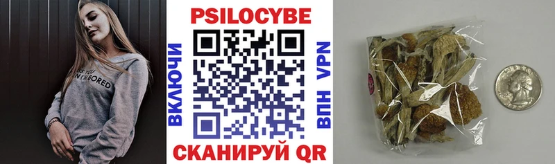 закладка  блэк спрут сайт  Псилоцибиновые грибы Cubensis  Алзамай 